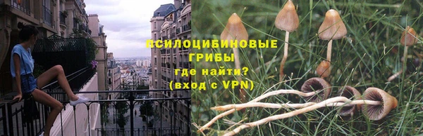эйфоретик Баксан
