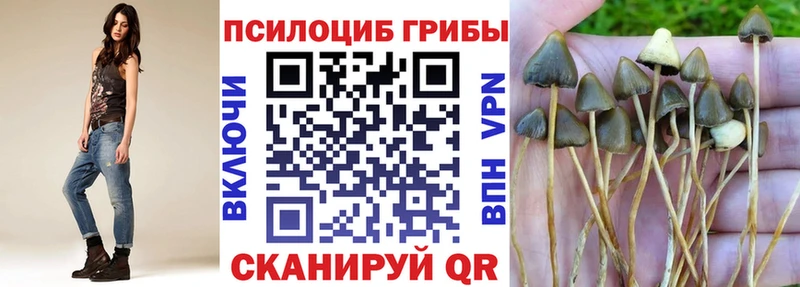 как найти наркотики  Северо-Курильск  OMG зеркало  Галлюциногенные грибы Cubensis 